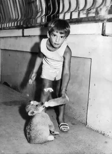 Me feeding a lion cub, possibly at London Zoo.