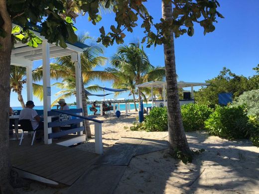 The beach shack and beach bar, 2015–2017.